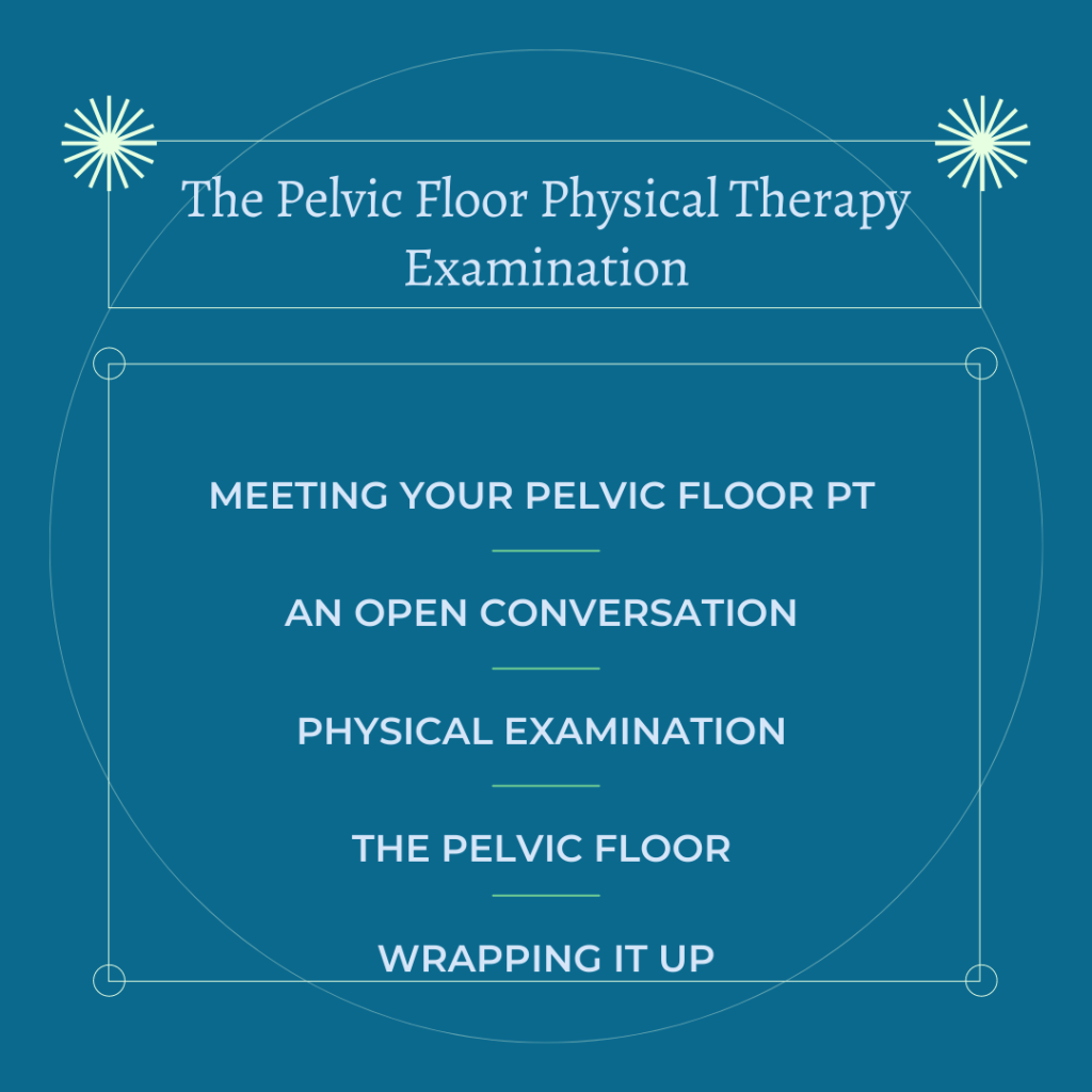 The pelvic floor · Pelvic Floor First